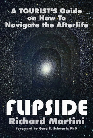 Flipside : A Tourist's Guide on How to Navigate the Afterlife