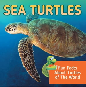 Sea Turtles: Fun Facts About Turtles of The World