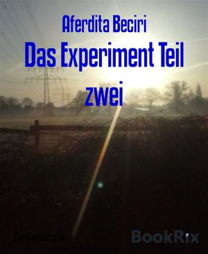 Das Experiment Teil zwei