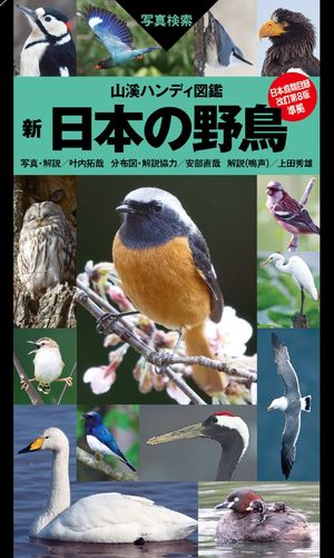 楽天市場】フィールド図鑑 日本の野鳥 第2版の通販 楽天市場】フィールド図鑑 日本の野鳥 第2版の通販