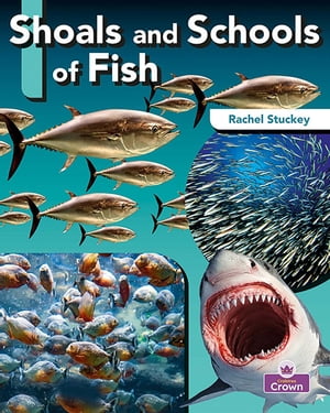 Shoals and Schools of Fish