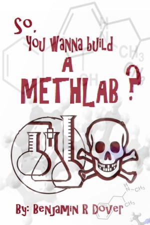 So, You Wanna Build A Methlab?