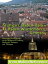 Stuttgart, Baden-Baden &Baden-Wurttemberg, Germany Illustrated Travel Guide to the Regions of Freiburg, Karlsruhe, Stuttgart and T?bingenŻҽҡ[ MobileReference ]