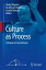 Culture as Process