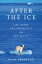 After the Ice Life, Death, and Geopolitics in the New ArcticŻҽҡ[ Alun Anderson ]