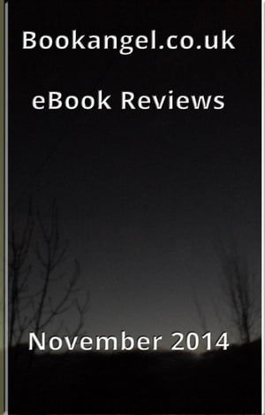 Bookangel.co.uk Book Reviews - November 2014