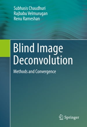 Blind Image Deconvolution