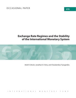 Exchange Rate Regimes and the Stability of the International Monetary System