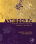 Antibody Fc