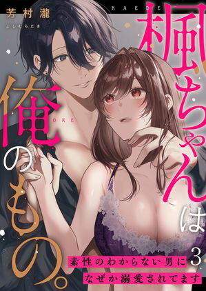 楓ちゃんは俺のもの。〜素性のわからない男になぜか溺愛されてます〜第3話【電子書籍】[ 芳村瀧 ]