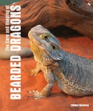 Care and Keeping of Bearded Dragons
