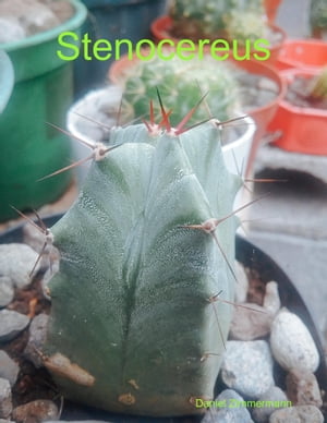 Stenocereus