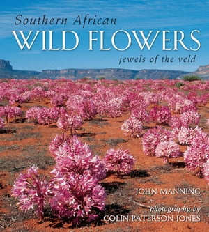 Southern African Wild Flowers - Jewels of the Veld