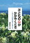 子どもの心がかがやくとき　これからの幼児の育ちを考える【電子書籍】[ 漆原智良 ]