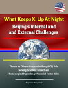 What Keeps Xi Up At Night: Beijing's Internal an