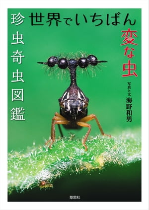 世界でいちばん変な虫：珍虫奇虫図鑑