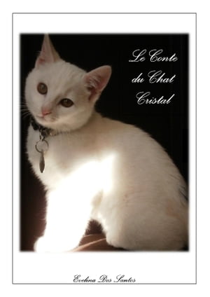 LE CONTE DU CHAT CRISTAL