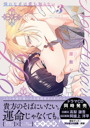 憐れなβは恋を知らない 3【電子限定漫画付き】