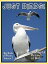 Just Bird Photos! Big Book of Photographs & Pictures of Birds, Vol. 1