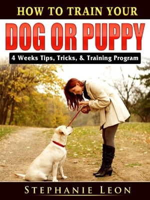 How to Train Your Dog or Puppy