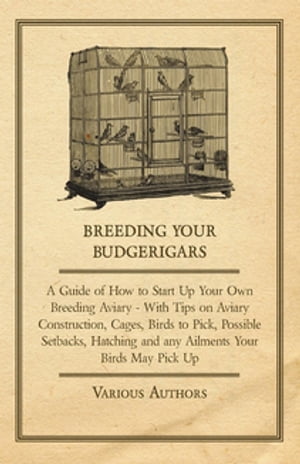 Breeding Your Budgerigars - A Guide of How to Start Up Your Own Breeding Aviary