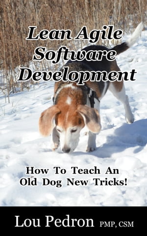 Lean Agile Software Development How To Teach An 