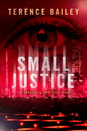 Small Justice