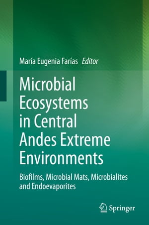 Microbial Ecosystems in Central Andes Extreme Environments