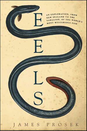 Eels An Exploration, from New Zealand to the Sargasso, of the World 039 s Most Mysterious Fish【電子書籍】 James Prosek