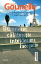 Dumnezeu calatoreste intotdeauna incognito【電子書籍】 Laurent Gounelle