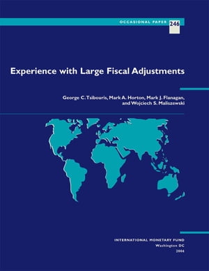 Experience with Large Fiscal Adjustments