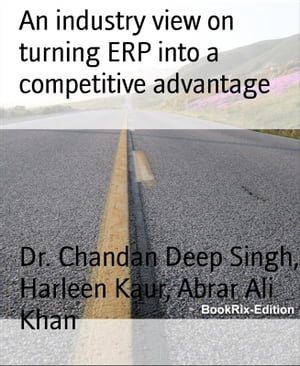 An industry view on turning ERP into a competitive advantage