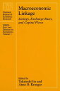 Macroeconomic Linkage Savings, Exchange Rates, and Capital Flows【電子書籍】