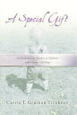 A Special Gift A Devotional for Mothers of Children with Unique Challenges【電子書籍】...