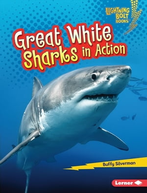 Great White Sharks in ActionŻҽҡ[ Buffy Silverman ]