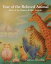 #7: Chinese Zodiac Animalsβ