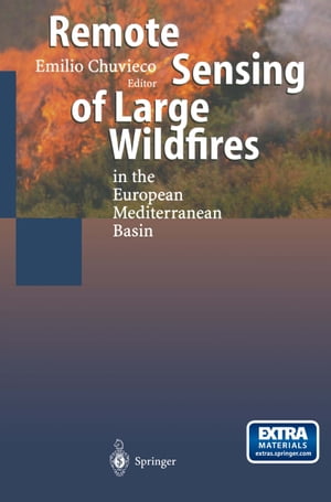 Remote Sensing of Large Wildfires