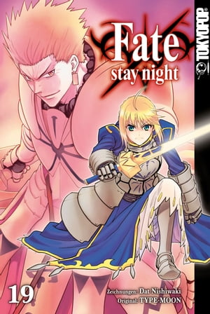 Fate/Stay night - Einzelband 19