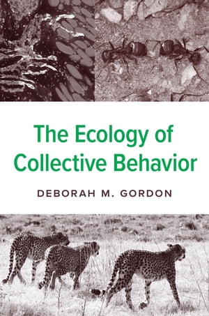 The Ecology of Collective Behavior【電子書籍】[ Deborah M. Gordon ]