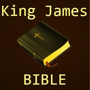 Holy Bible (King James Version) Best for kobo