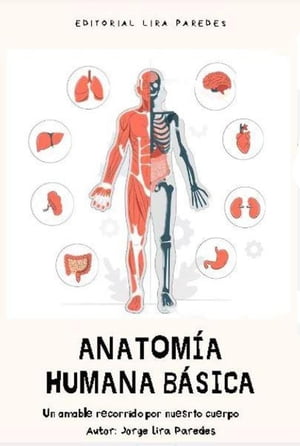 Anatomía Humana Básica