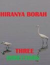 Three Directors【電子書籍】[ Hiranya Borah ]