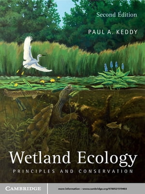 Wetland Ecology