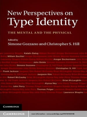 New Perspectives on Type Identity