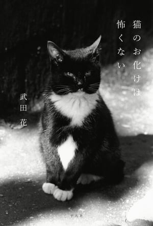 猫のお化けは怖くない【電子書籍】[ 武田花 ]のサムネイル