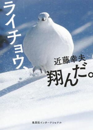ライチョウ、翔んだ。（集英社インターナショナル）【電子書籍】[ 近藤幸夫 ]