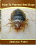 How To Prevent Bed Bugs