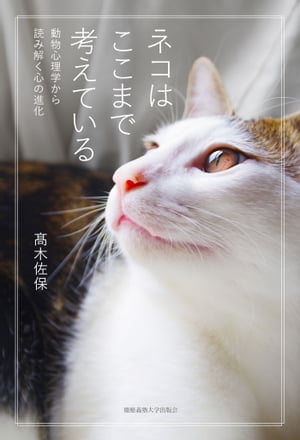 高木佐保