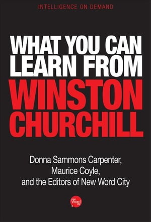 What You Can Learn from Winston Churchill