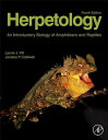 ŷKoboŻҽҥȥ㤨Herpetology An Introductory Biology of Amphibians and ReptilesŻҽҡ[ Laurie J. Vitt ]פβǤʤ7,019ߤˤʤޤ
